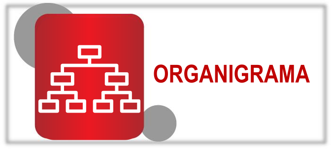 Organigrama