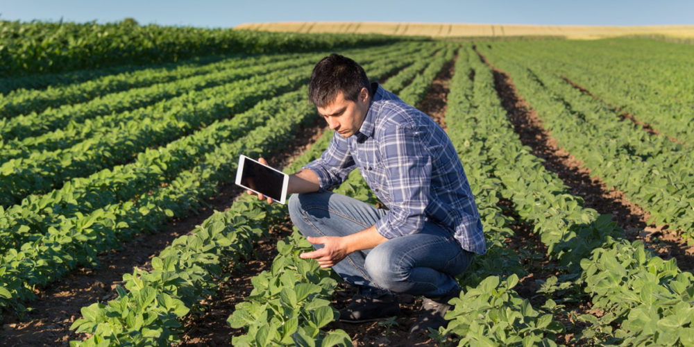 Unillanos realiza el II Encuentro de Investigadores de la Facultad de Ciencias Agropecuarias y Recursos Naturales