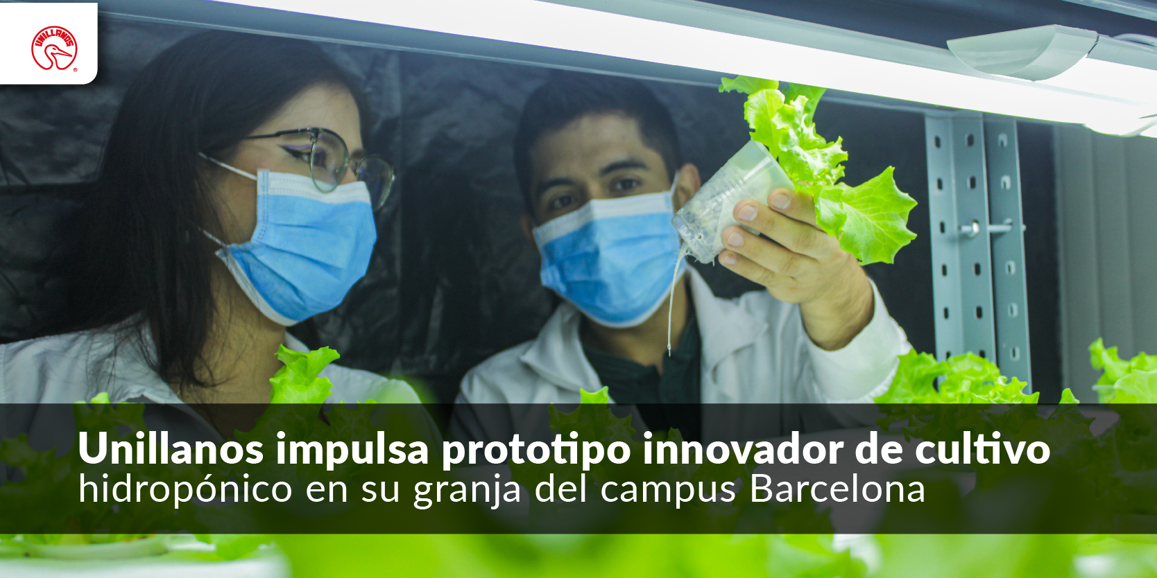 Unillanos impulsa prototipo innovador de cultivo hidropónico en su granja del campus Barcelona