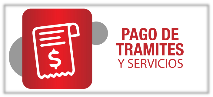 PAGOS, TRAMITES Y SERVICIOS